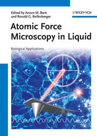 Обложка «Atomic Force Microscopy in Liquid. Biological Applications»