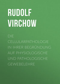Обложка «Die Cellularpathologie in ihrer Begründung auf physiologische und pathologische Gewebelehre»