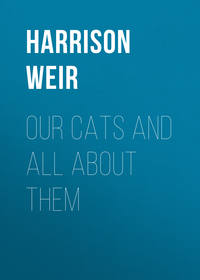 Обложка «Our Cats and All About Them»