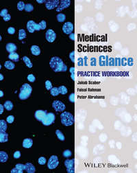 Обложка «Medical Sciences at a Glance. Practice Workbook»