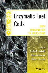Обложка «Enzymatic Fuel Cells. From Fundamentals to Applications»