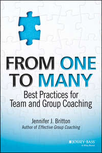 Обложка «From One to Many. Best Practices for Team and Group Coaching»