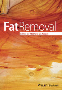 Обложка «Fat Removal. Invasive and Non-invasive Body Contouring»