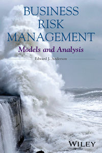 Обложка «Business Risk Management. Models and Analysis»