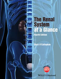 Обложка «The Renal System at a Glance»
