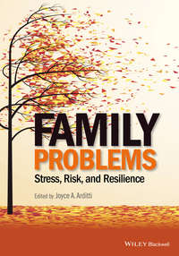 Обложка «Family Problems. Stress, Risk, and Resilience»