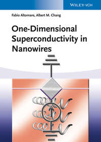 Обложка «One-Dimensional Superconductivity in Nanowires»