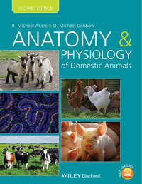 Обложка «Anatomy and Physiology of Domestic Animals»