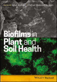 Обложка «Biofilms in Plant and Soil Health»