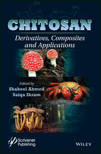 Обложка «Chitosan. Derivatives, Composites and Applications»