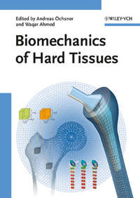 Обложка «Biomechanics of Hard Tissues. Modeling, Testing, and Materials»
