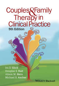 Обложка «Couples and Family Therapy in Clinical Practice»