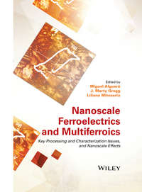 Обложка «Nanoscale Ferroelectrics and Multiferroics. Key Processing and Characterization Issues, and Nanoscale Effects, 2 Volumes»