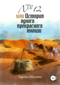 Обложка «№ 12, или История одного прекрасного юноши»