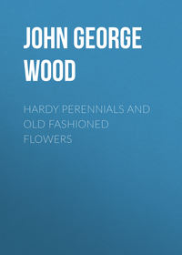 Обложка «Hardy Perennials and Old Fashioned Flowers»