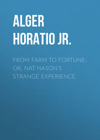 Обложка «From Farm to Fortune; or, Nat Nason's Strange Experience»
