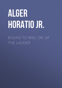 Обложка «Bound to Rise; Or, Up the Ladder»