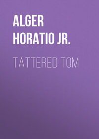 Обложка «Tattered Tom»