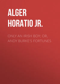 Обложка «Only an Irish Boy; Or, Andy Burke's Fortunes»