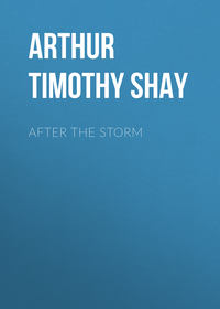 Обложка «After the Storm»