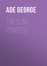 Обложка «The Slim Princess»
