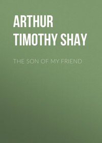 Обложка «The Son of My Friend»