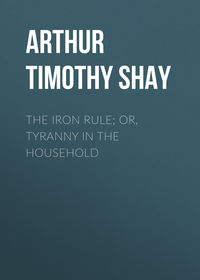 Обложка «The Iron Rule; Or, Tyranny in the Household»