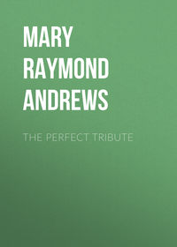 Обложка «The Perfect Tribute»