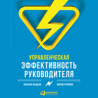 Обложка «Управленческая эффективность руководителя»