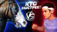 Обложка «Кто быстрей человек или лошадь?»