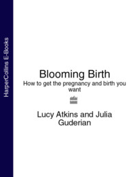 Обложка «Blooming Birth: How to get the pregnancy and birth you want»