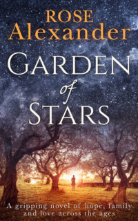 Обложка «Garden of Stars: A gripping novel of hope, family and love across the ages»