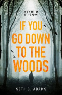 Обложка «If You Go Down to the Woods: The most powerful and emotional debut thriller of 2018!»