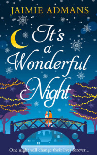 Обложка «It’s a Wonderful Night: A delightfully feel-good festive romance for 2018!»