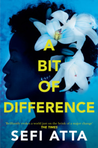Обложка «A Bit of Difference»