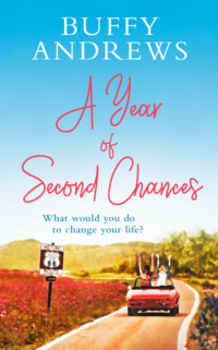 Обложка «A Year of Second Chances»