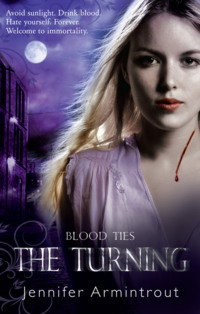 Обложка «Blood Ties Book One: The Turning»