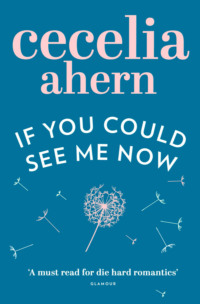 Обложка «If You Could See Me Now»