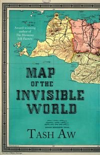 Обложка «Map of the Invisible World»