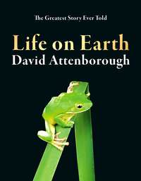 Обложка «Life on Earth»