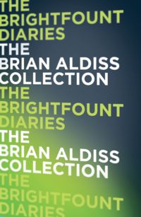 Обложка «The Brightfount Diaries»