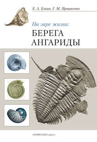 Обложка «На заре жизни: берега Ангариды»