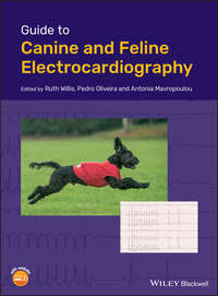 Обложка «Guide to Canine and Feline Electrocardiography»