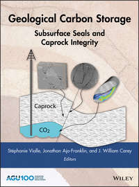 Обложка «Geological Carbon Storage. Subsurface Seals and Caprock Integrity»