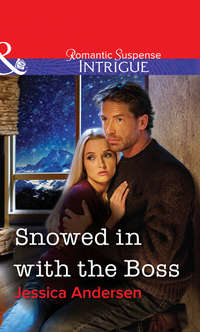 Обложка «Snowed in with the Boss»
