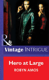 Обложка «Hero At Large»