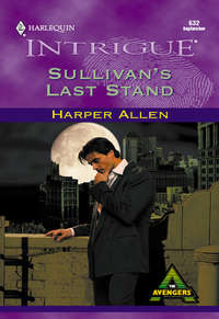 Обложка «Sullivan's Last Stand»