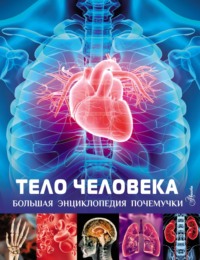 Обложка «Тело человека»