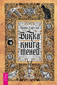 Обложка «Викка: книга теней»