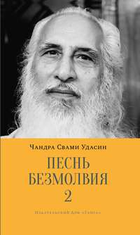 Обложка «Песнь безмолвия. Книга 2»